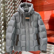 Zegna Down Jackets